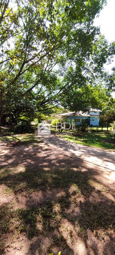 Imagem 18 de 19 de Casa Á Venda E Para Aluguel Em Parque Da Represa - Ca004069