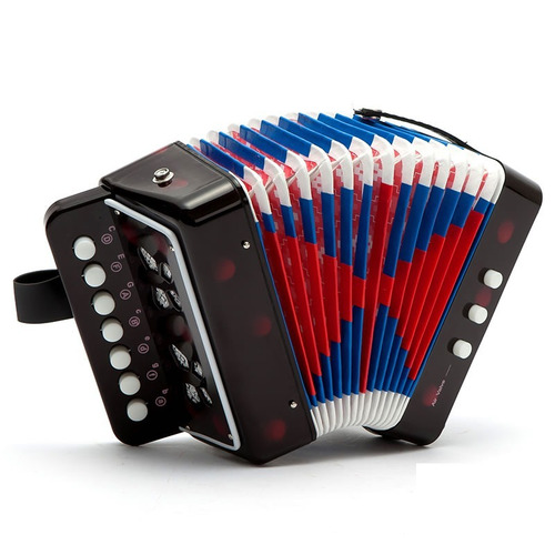 Mini Acordeon Sanfona Musical Infantil Aprendizado Crianças