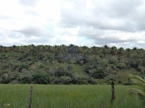 Imagem 11 de 23 de Terreno, Arembepe (abrantes), Camaçari - R$ 1.58 Mi, Cod: 68323 - V68323