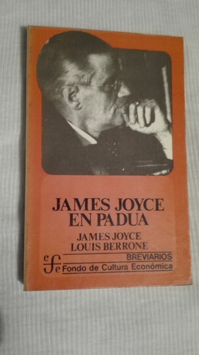 Libro James Joyce En Padua, James Joyce-louis Berrone.