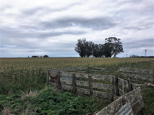 Imagen 14 de 14 de Campo 66 Hs Agricola-ganadero En Balcarce