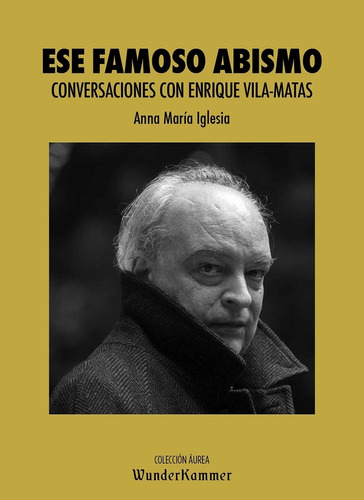 Ese Famoso Abismo - Conversaciones Con Enrique Vilamatas