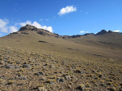 Inmobiliaria Comodoro - Campo En Rio Senguer