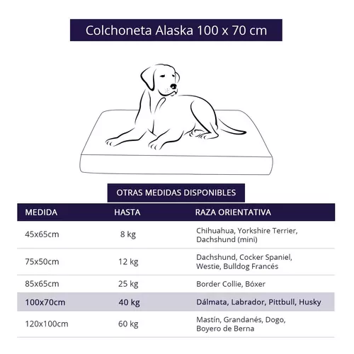 Cama Colchoneta Para Perros Lola Pets Modelo Alaska Grande