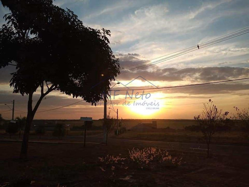 Imagem 9 de 11 de Terreno De Condomínio, Jardim Dos Ipês, Porto Ferreira - R$ 95 Mil, Cod: 10132685 - V10132685