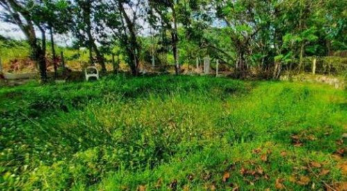 Imagem 7 de 15 de Chácara Em Condomínio No Bairro Parque Serra Mar, Em Peruíbe, Localizada No Lado Serra. Possui Piscina, Churrasqueira, Cozinha Caipira, Forno À Lenha, Campo De Futebol, Playground
