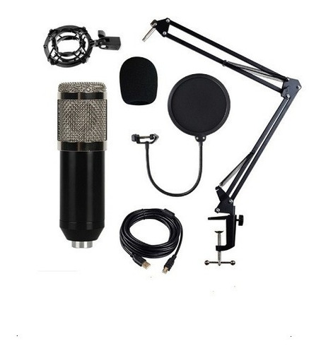 Microfono Profesional Condensador Midi-usb