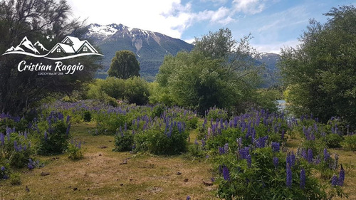 Imagen 19 de 30 de Terreno 1.9 Has Excelentes Vistas Oportunidad Inversor En Cholila