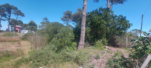 Terreno En Venta En El Bosque En Punta Del Diablo