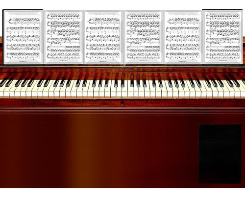 Carpeta De Archivos De Música Organizador Expandible