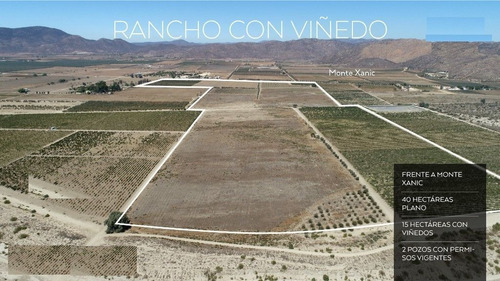 Valle De Guadalupe - Rancho Con Viñedo