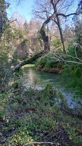 Terreno / Los Alamos, Región Del Biobío