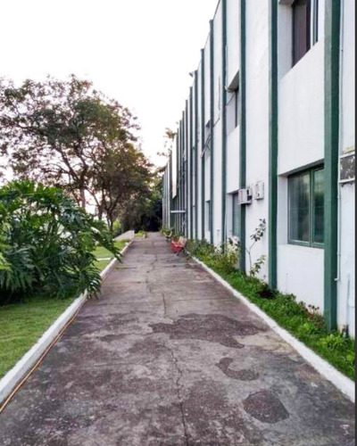 Imagem 11 de 28 de O Galpão Está Em Localização Privilegiada, Na Avenida Tenente Marques 909, A Apenas 900 Metros Da. - Gl00147 - 68452506