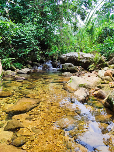 Em Finca En Venta En El Piñal Sector La Victoria