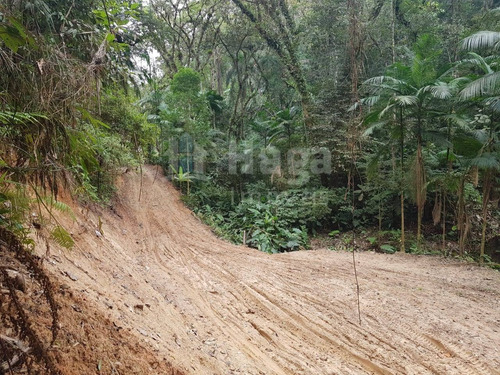 Imagem 3 de 11 de Terreno Para Chácara À Venda Em Brusque/sc - 960c