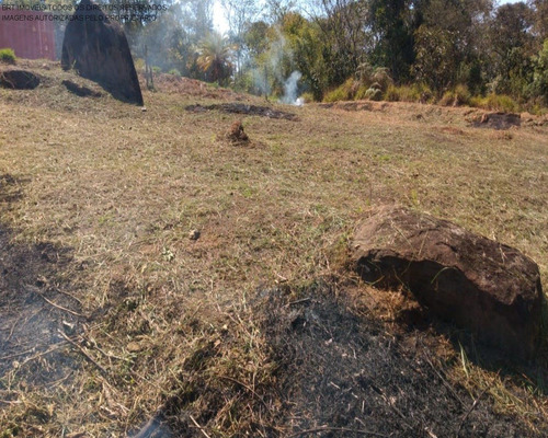 Imagem 9 de 11 de Terreno - Te00147 - 68899696