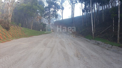 Sítio À Venda Em Brusque/sc - 1164c