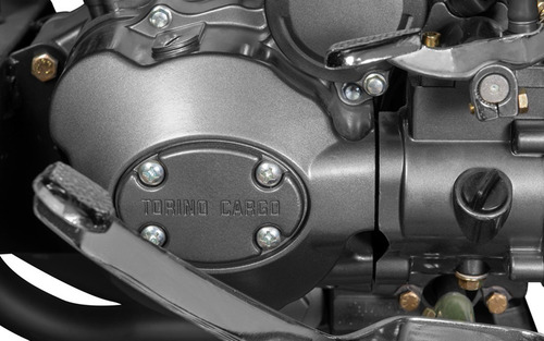 Imagen 8 de 8 de Trimoto Torino Country Cab 250