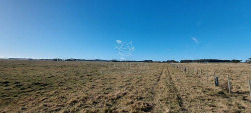 Imagen 2 de 28 de Venta Campo Ideal Para Fraccionar En Chacras Codigo 6003 - Las Garzas