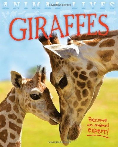 Animal Lives: Giraffes, De Sally Morgan. Editorial Qed Publishing, Tapa Blanda En Inglés