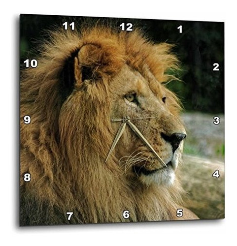 Reloj De Pared - 3d Rose Portrait Of African Wildlife Lion A