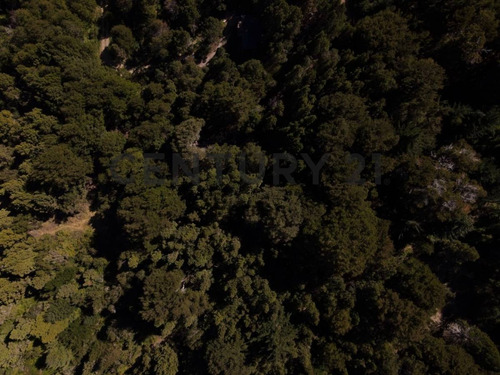 Imagen 8 de 15 de Lote En Venta - Bariloche - Zona Llao Llao - Id:15240