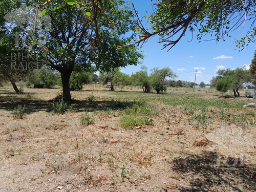 Terreno Rural En Alquiler