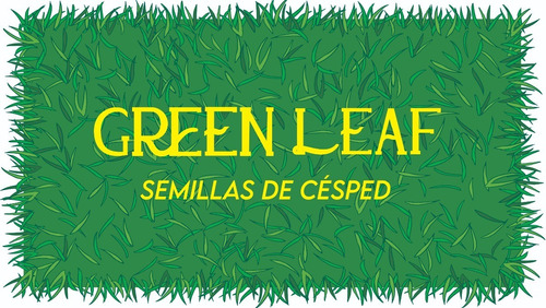 Semilla Césped Festuca Alta 3 Kg + Rye Grass Perenne X 3 Kg