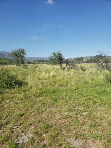 Lote Sobre Ruta N° 9, Camino A La Carolina