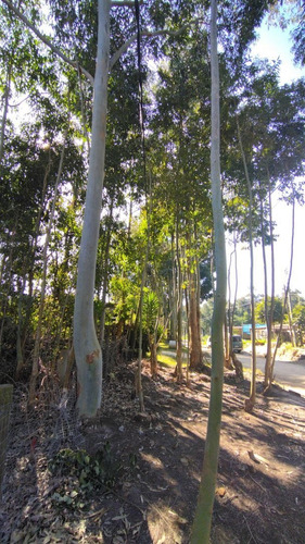 Imagen 13 de 24 de Terreno En Venta En Balneario Buenos Aires