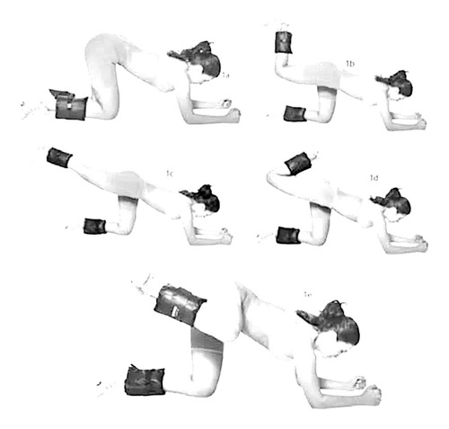 Par Caneleira Tornozeleira Peso De 4kg Treino Perna Glúteos