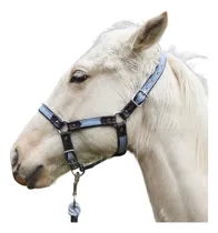 Comprar Bozal (correas, Productos)para Los Caballos De Cuero Natural