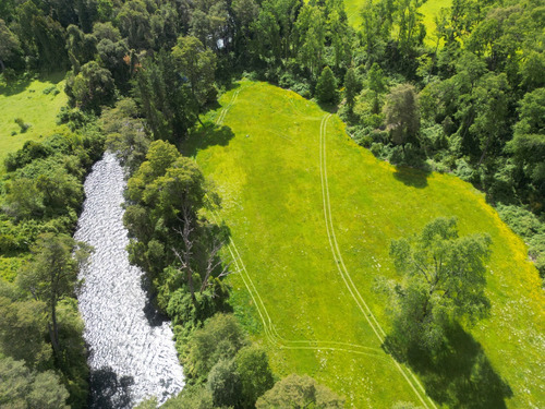 Se Vende Campo Agricola- Ganadero 50 Hectáreas.