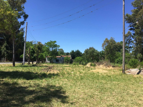 Imagen 7 de 15 de Venta De Terreno En Ruta 2 Km 52. Apto Comercial.