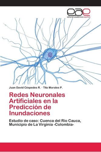 Libro: Redes Neuronales Artificiales En La Predicción De Inu