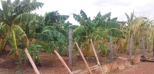 Imagen 19 de 26 de Finca En Venta ,calabozo Guarda Tinajas