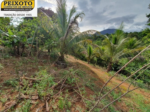 Imagem 10 de 30 de Chácara - Ch00015 - 67804183