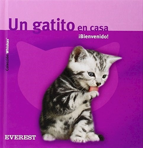 Un Gatito En Casa: Bienvenido!, De Ludwig Gerd. Editorial Everest, Tapa Blanda En Español