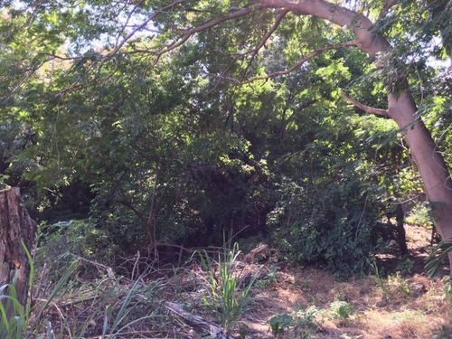 Imagen 7 de 12 de Excelente Terreno En Venta En La Peninsula De Las Hadas