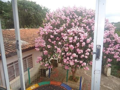 Imagem 24 de 28 de Sítio À Venda, 5 Quartos, 2 Suítes, 4 Vagas, Centro - São Roque/sp - 2308