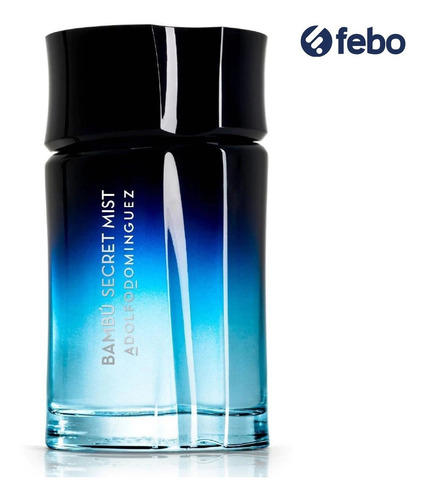 Imagen 2 de 3 de Perfume Hombre Adolfo Dominguez Secret Mist 120ml Febo