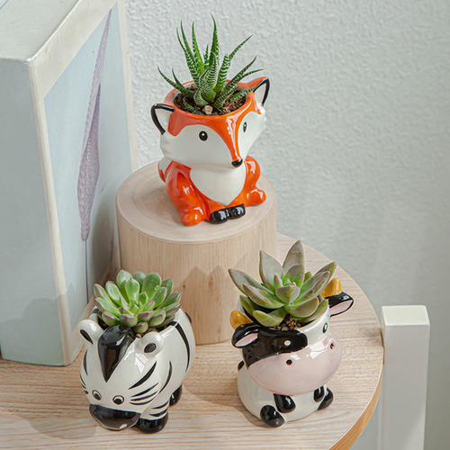 2 Uds Macetas Suculentas Macetas Pequeñas Plantas Maceta