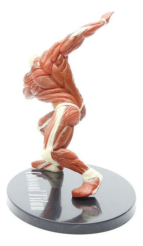 ( Attack On Titan O Titã Colossal Modelo Figura Brinquedo