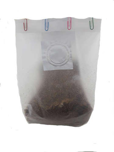 Kit P/ Produzir Cogumelo Champignon Em Casa Alimento Vegano