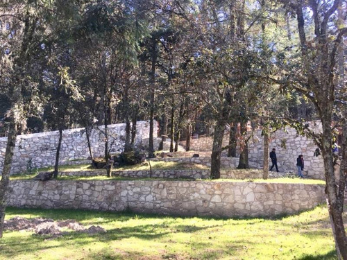 Imagen 2 de 6 de Terreno En Venta Cabaña Dentro De Zona Boscosa, Fraccionamiento Privado