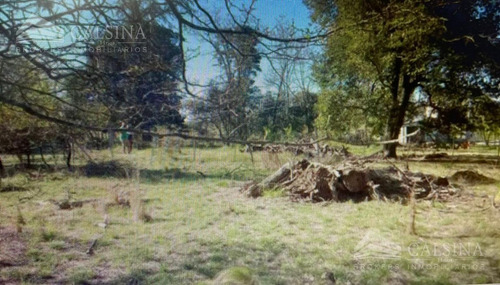 Imagen 2 de 5 de Terreno - Potrero De Garay