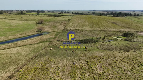 3 Hectáreas En Migues Con Aguada Y Linda Vista
