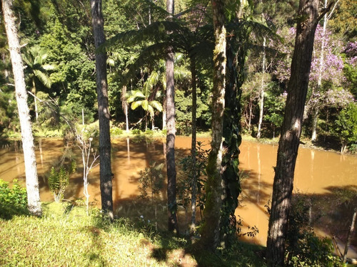 Imagem 12 de 30 de Sítio À Venda Em Juquitiba - 423 - 33815443