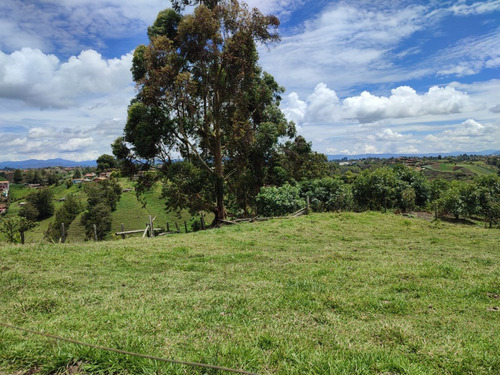 Lote En Venta El Santuario Antioquia 5,000 M2 L4 Or