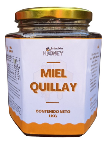 Miel De Abejas. Quillay. 1 Kg. Estación H2oney